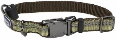 Coastal K9 Explorer 5/8 Inch Adj Collar Fern Green (10-14 Inch)