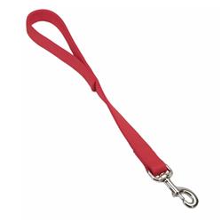 Coastal Double-Ply Nylon Traffic Dog Leash Red 1ea/1 In X 24 in