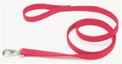 Coastal Double-Ply Nylon Dog Leash Red 1ea/1 In X 6 ft