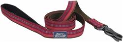 Coastal Products K9 Explorer Reflective Dog Leash With Scissor Snap Berry