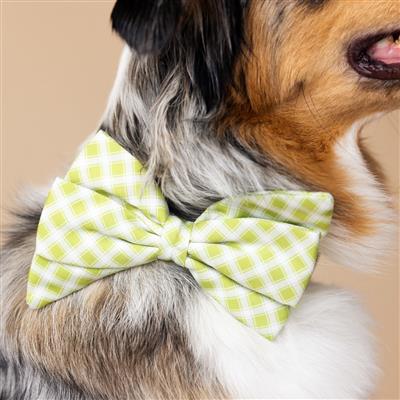 Bryce Babe Bow | Dog Collar Bow