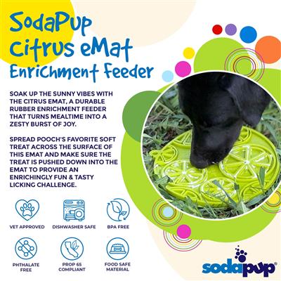 Citrus Design eMat Enrichment Lick Mat With Suction Cups