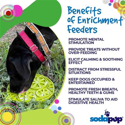 Citrus Design eMat Enrichment Lick Mat With Suction Cups