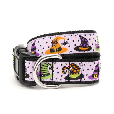 Bewitched Dog Collar & Lead Collection