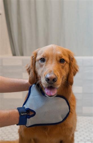 Four Paws Magic Coat Professional Series Comfort Tips Deluxe Dog Grooming Glove One Size