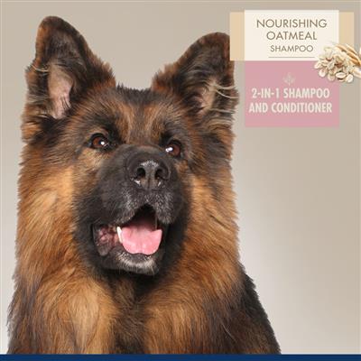 Four Paws Magic Coat Professional Series Nourishing Oatmeal 2 in 1 Dog Shampoo and Conditioner Two in One 1ea/16 Fl. Oz.