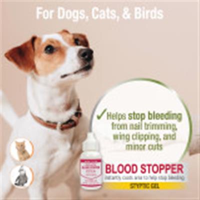 Four Paws Quick Blood Stopper Gel 1ea/1.16 oz