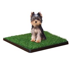 Extra Product Image