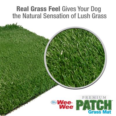 Four Paws Wee-Wee Dog Grass Replacement Patch 1ea/Medium(1 ct)