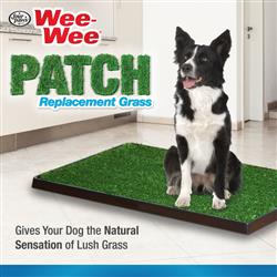 Extra Product Image