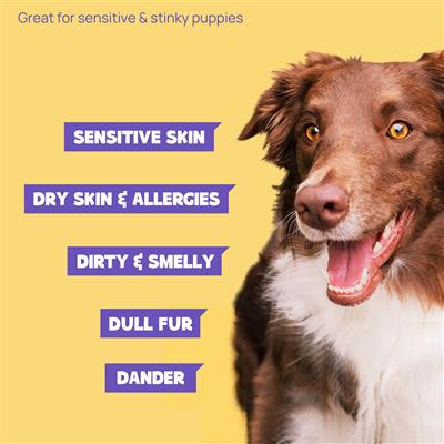 HICC Pet® Hypoallergenic Pet Glove Wipes For Dogs & Cats, 6 pcs - unscented