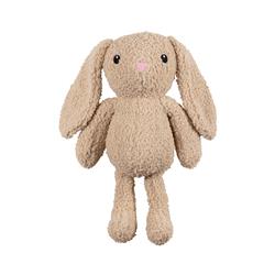 Hoppy To See You Lg Plush Dog Toy