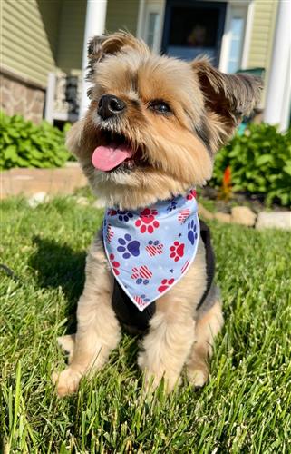 Patriotic | Memorial Day Bandana | USA | Patriotic bandana | Fourth of July | 4th