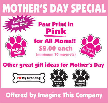 Special Edition Pink Paw Magnets