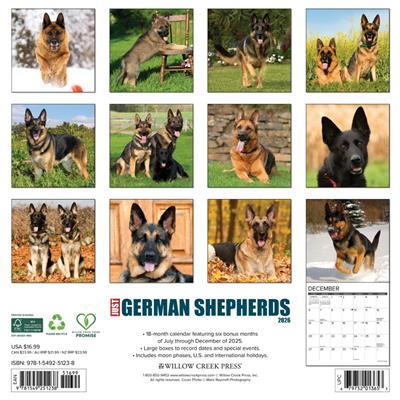 German Shepherds 2026 Wall Calendar