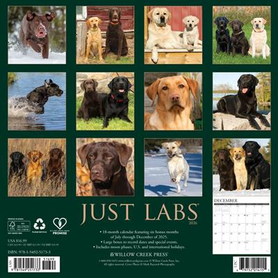 Labs 2026 Wall Calendar