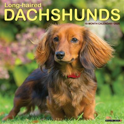 Long-haired Dachshunds 2026 Wall Calendar