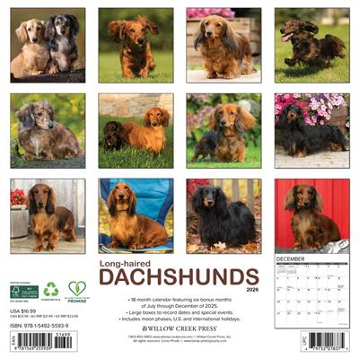 Long-haired Dachshunds 2026 Wall Calendar