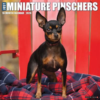 Mini Pinschers 2026 Wall Calendar