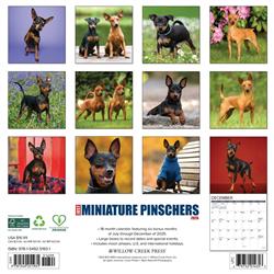 Extra Product Image