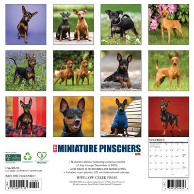 Mini Pinschers 2026 Wall Calendar