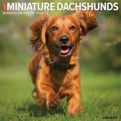 Miniature Dachshunds 2026 Wall Calendar