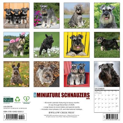 Miniature Schnauzers 2026 Wall Calendar