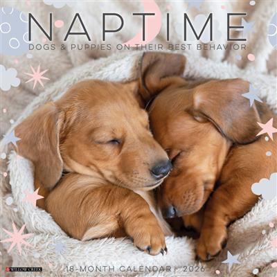 Naptime: Dogs & Puppies 2026 Wall Calendar