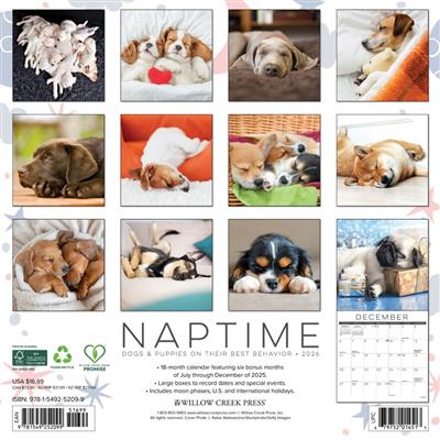 Naptime: Dogs & Puppies 2026 Wall Calendar