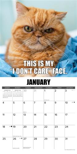 Not So Pawsitive 2026 Wall Calendar