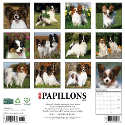Papillons 2026 Wall Calendar
