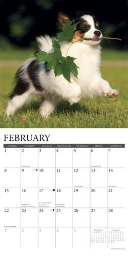 Papillons 2026 Wall Calendar
