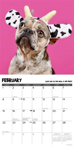 Pardon My Frenchie 2026 Wall Calendar