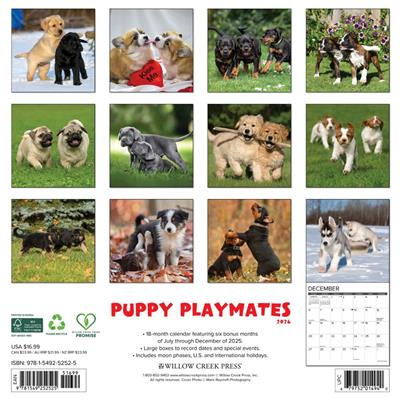 Puppy Playmates 2026 Wall Calendar