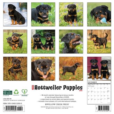 Rottweiler Puppies 2026 Wall Calendar