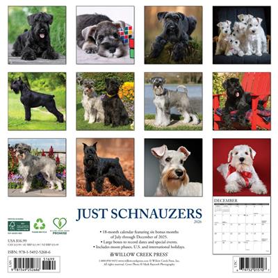 Schnauzers 2026 Wall Calendar