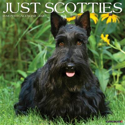 Scotties 2026 Wall Calendar
