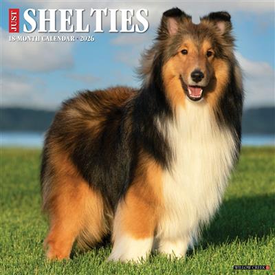 Shelties 2026 Wall Calendar