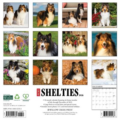 Shelties 2026 Wall Calendar