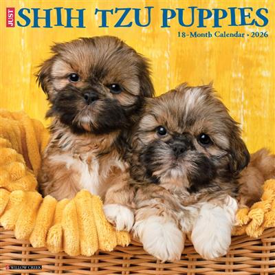 Shih Tzu Puppies 2026 Wall Calendar