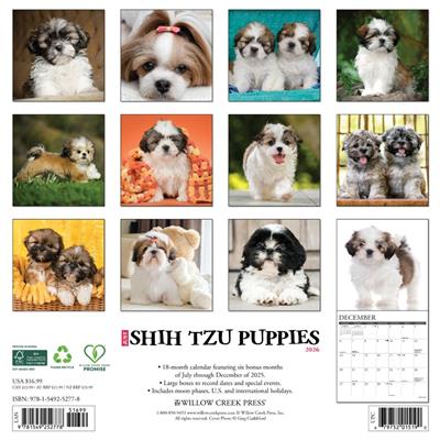 Shih Tzu Puppies 2026 Wall Calendar