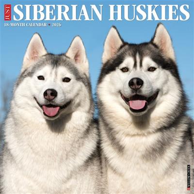 Siberian Huskies 2026 Wall Calendar