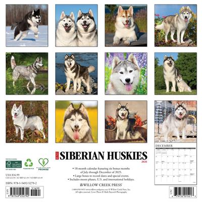 Siberian Huskies 2026 Wall Calendar