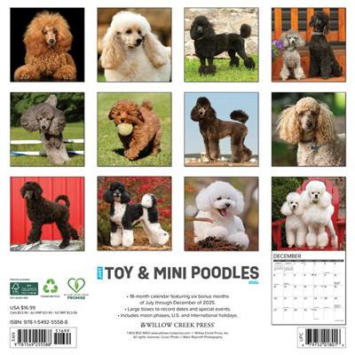 Toy & Miniature Poodles 2026 Wall Calendar