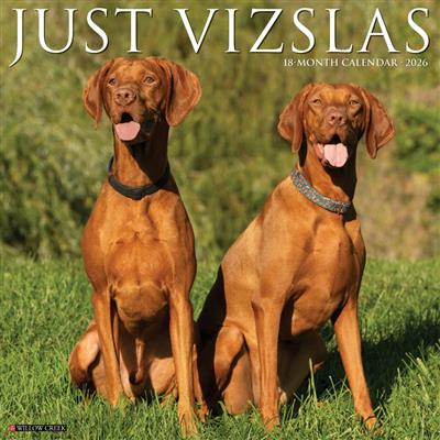 Vizslas 2026 Wall Calendar