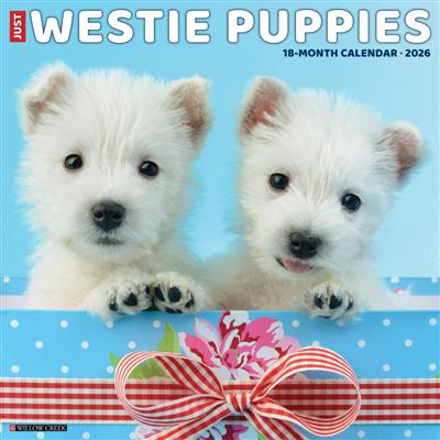 Westie Puppies 2026 Wall Calendar