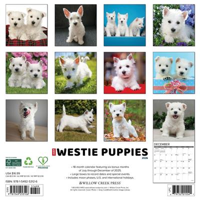 Westie Puppies 2026 Wall Calendar