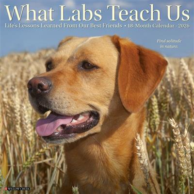 What Labs Teach Us 2026 Wall Calendar