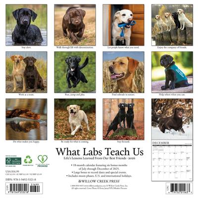 What Labs Teach Us 2026 Wall Calendar