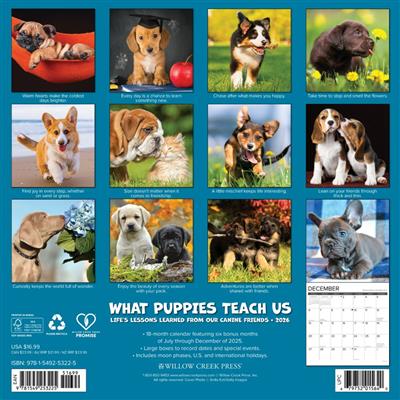 What Puppies Teach Us 2026 Wall Calendar